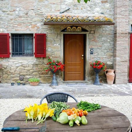 Casa Donella B&B Gricignano Exteriér fotografie